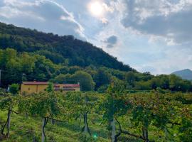 Euganean Hills Natural Park: Casale Il Boschetto，位于Torreglia的乡村别墅