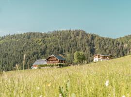 Bio Bauernhof Oberhinterberg Appartement，位于安纳贝格-伦格茨霍布赫缆车附近的酒店