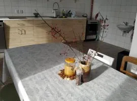 Apartmán v Anenském údolí