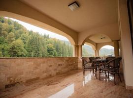 Casa Măiereană，位于Anieş的酒店