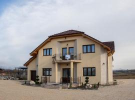 AGROPENSIUNEA LUK，位于Petreasa的酒店