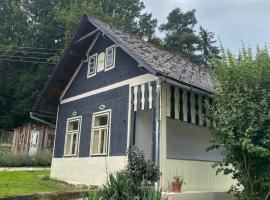 Altes Landhaus Südburgenland，位于Olbendorf的度假屋