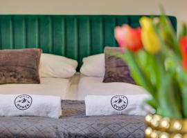 Willa Rynek，位于泰里克兹的酒店