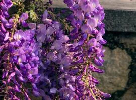 il Glicine B&B RISTORANTE