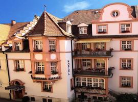 芭芭拉酒店，位于弗莱堡Freiburg Institute for Advanced Studies附近的酒店