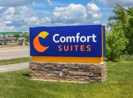 Comfort Suites Grayslake near Libertyville North