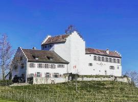 Hotel & Restaurant Schloss Schwandegg，位于Oberstammheim的带停车场的酒店