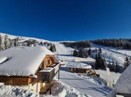 Almhütte Lachtal，位于拉赫塔尔的酒店