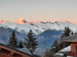 appart entierement renové les coches - la Plagne，位于拜兰特里白石附近的酒店