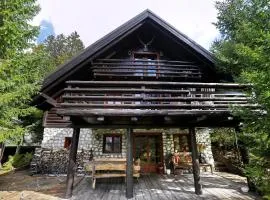 Mountain Dreams House - Stunning view over Lake Jasna!