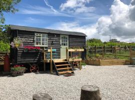 Willow Brook Shepherd Hut，位于锡德茅斯的露营地