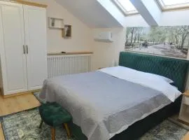 Magic Five - Cazare Reghin ***