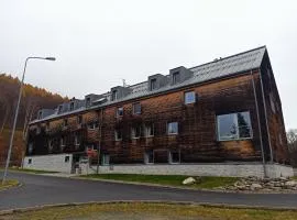 Mezonetový Apartmán Kouty nad Desnou