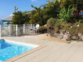 Villa de 3 chambres avec vue sur la mer piscine privee et jardin amenage a Le Diamant