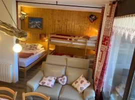 Studio Yomeo - La Joue Du Loup - Pied des pistes - 30M2 1 à 5 personnes