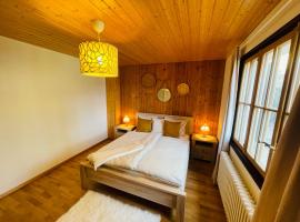 Chalet 6 personnes avec sauna，位于莱森的酒店