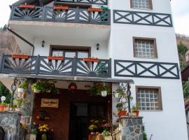 Casa Albert Sinaia，位于锡纳亚的旅馆