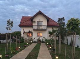Blue Sky House，位于巴洛泰什蒂的酒店
