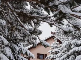 Planinska kuća Munika