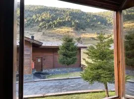 CABANA SORDA - Peu del Riu 302 - Vall d'Incles - Soldeu Hut 7868