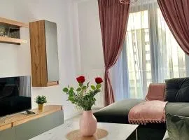 Luxurious & Cozy apartment