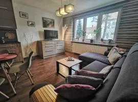 Apartament W SERCU USTRONIA