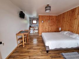 Apart Hotel Antu de Villarrica，位于比亚里卡的酒店