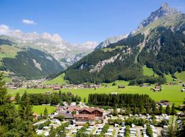 Alpenresort Eienwäldli Camping，位于英格堡的酒店