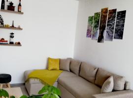 Apartament Raluca，位于托普利察的酒店