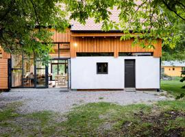 ASTER panzió，位于Cîmpu Cetăţii的酒店