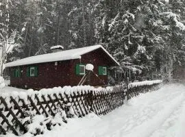 Waldchalet am Eichhof