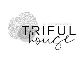 trifulhouse holiday apartments，位于阿尔巴的公寓