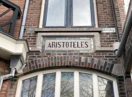 Aristoteles Apartments，位于斯海弗宁恩的酒店