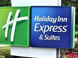 Holiday Inn Express & Suites - Detroit - Dearborn, an IHG Hotel，位于迪尔伯恩的酒店