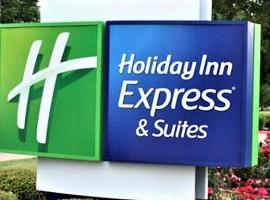 Holiday Inn Express & Suites - Detroit - Dearborn by IHG，位于迪尔伯恩的酒店