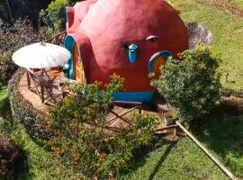 HOTEL TIERRA GRATA SPA，位于瓜尔内的酒店