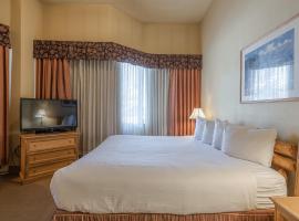 Cozy Pet-Friendly King Studio in Mt, Crested Butte condo，位于克雷斯特德比特的酒店