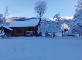 Cottage Лісовий，位于Bukovets的汽车旅馆