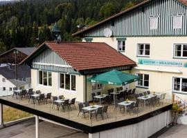 Gasthof Dreiländereck，位于Schwarzenberg am BohmerwaldBergland Ski Lift附近的酒店