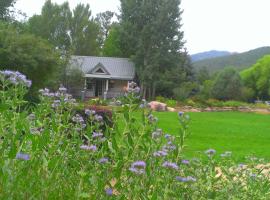 Apple Orchard Inn，位于杜兰戈的度假短租房