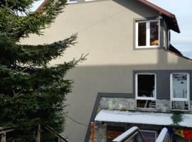 Pensiunea Allma，位于斯特拉扎的酒店