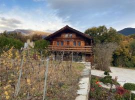 chalet à Savièse en bordure de forêt，位于Savièse的酒店
