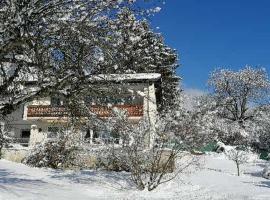 Four Seasons Apartment "GREEN PARADISE"，位于菲拉赫的酒店