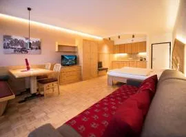 Apartment Lilli mit Garagenstellplatz