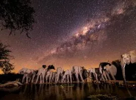 Antares Bush Camp & Umgede Hide