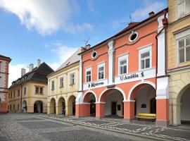 Penzion U Anděla，位于伊钦的住宿加早餐旅馆