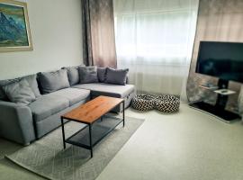 Nika Apartment - Aare Jungfrau AG，位于格林德尔瓦尔德的公寓