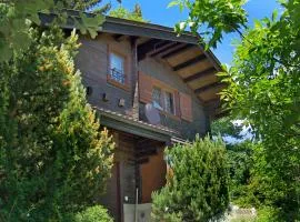 Chalet Château Lapin by Interhome