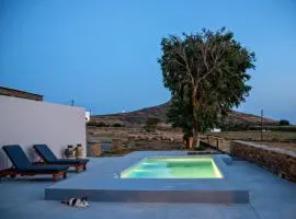 VF Villa Agios Fokas Tinos