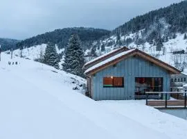 Chalet de standing 9P avec sauna & salle d'escalade